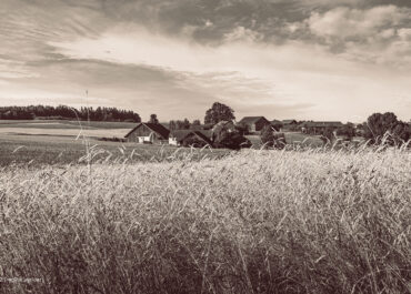 Sommerstimmung bei Taiskirchen